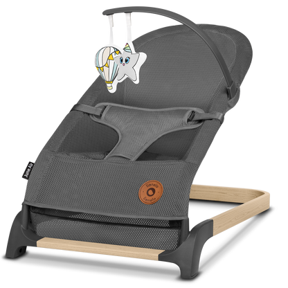 Transat Balancelle Bébé – Lionelo June Grey Graphite 0-9 kg - Arche de Jeux