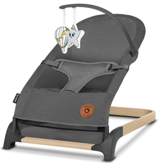 Transat Balancelle Bébé – Lionelo June Grey Graphite 0-9 kg - Arche de Jeux