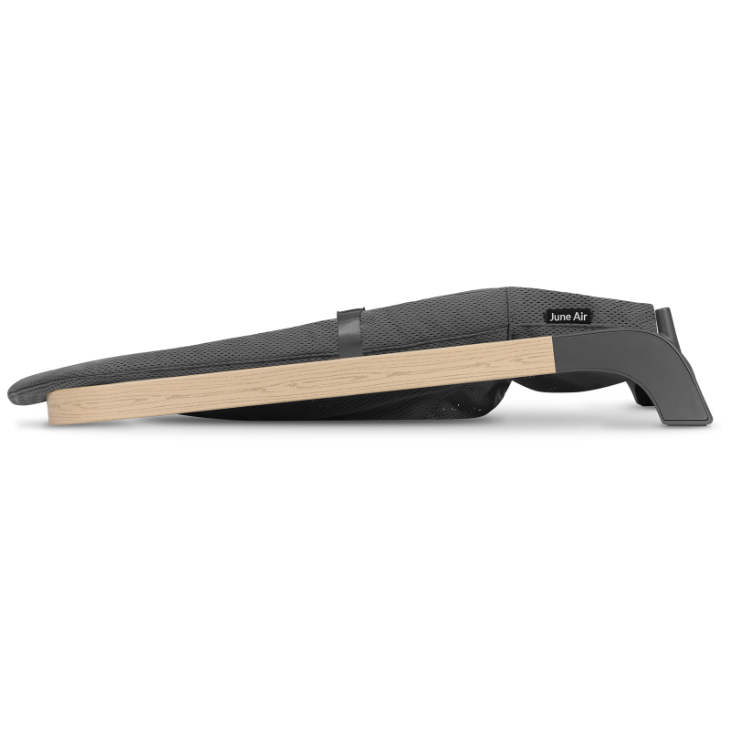 Transat Balancelle Bébé – Lionelo June Grey Graphite 0-9 kg - Arche de Jeux